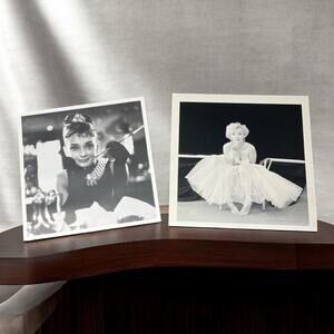 Marilyn Monroe Hollywood Milton Greene 2005 Audrey Hepburn FRWS Print Photo Lot